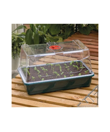 Propagator Szklarenka z wentylacją 37,5x23x18 GARLAND - 1 - mini szklarnia przeznaczona do kiełkowania nasion i ukorzeniania szc