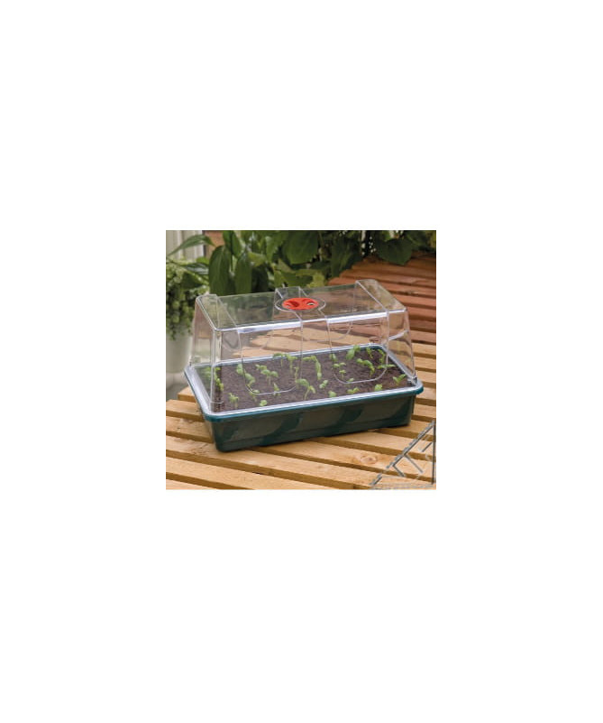 Propagator Szklarenka z wentylacją 37,5x23x18 GARLAND - 1 - mini szklarnia przeznaczona do kiełkowania nasion i ukorzeniania szc