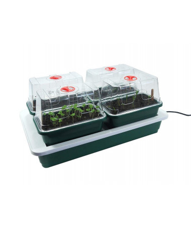 Podgrzewana taca 38.5cm x 24cm x 15.5cm 230V + 4 Szklarenki - 1 - podgrzewana taca wraz ze szklarenkami do sadzonkowania / klono