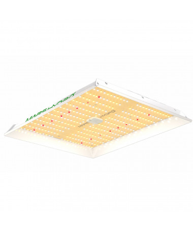 Mars Hydro TS 1000 150W Lampa Led - 1 - 