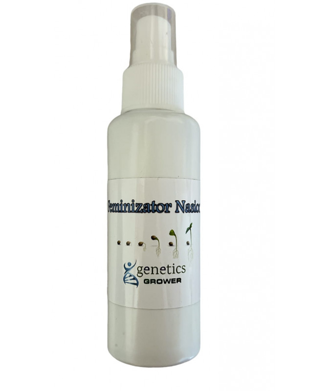 FEMINIZATOR NASION SPRAY 100ML - 1 - Jak to działa?Po prostu wybierz ładną i zdrową roślinę żeńską ze swojego ogrodu, tuż po pok
