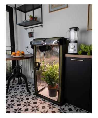 SECRET JARDIN FOR TWENTY 100W - zestaw - 4 - SECRET JARDIN FOR TWENTY 100W - zestaw - 4 -