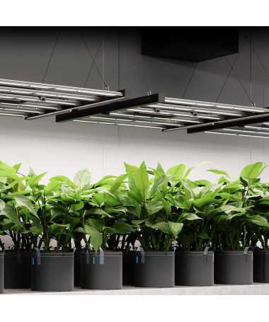AC Infinity IONFRAME EVO4 300W Lampa LED Grow Full Spectrum Samsung LM301H EVO do 120x120cm - 4 - Lampy LED do uprawy roślin