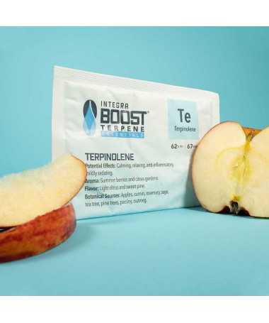 INTEGRA BOOST TERPENY...