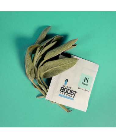 INTEGRA BOOST TERPENY...