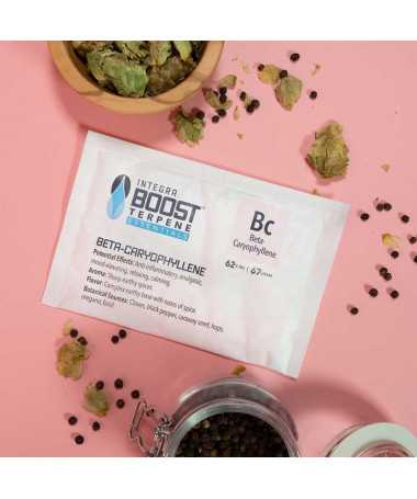 INTEGRA BOOST TERPENY...
