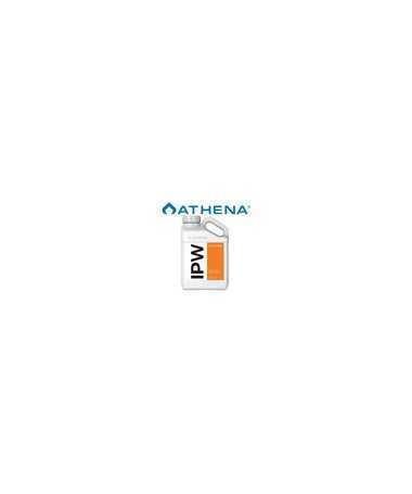 Athena IPW 3,79l - koncentrat na pleśń i owady, odświeża i odżywia, cure, leaf coat - 1 - Nawozy