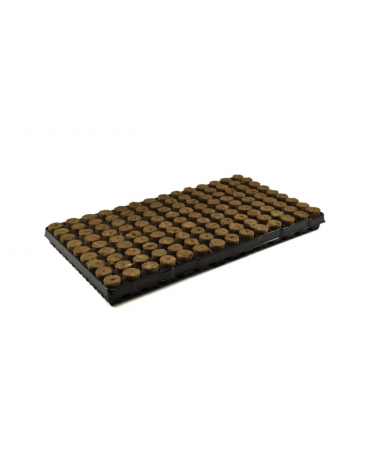 Agra-Wool Speedgrow Plug Taca 126szt kostek 2,8x4cm – wełna mineralna do roślin - 1 - Ziemia uprawna