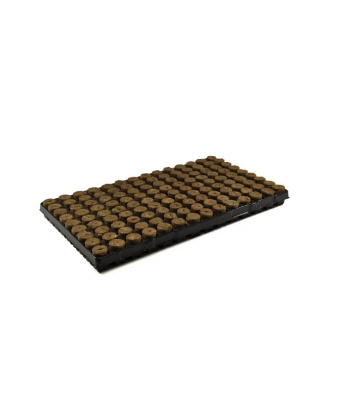 Agra-Wool Speedgrow Plug Taca 84szt kostek 3,8x4cm – wełna mineralna do roślin - 1 - Ziemia uprawna