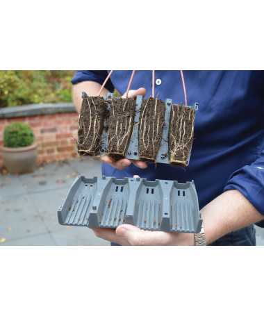 28 WKŁADÓW UKORZENIĄCYCH WIELOKROTNEGO UŻYTKU (BEZ SZKLARENKI), 21x5xh12cm, GARLAND DEEP ROOT SUCCES KIT - 2 - Klonowanie, kiełk 28 WKŁADÓW UKORZENIĄCYCH WIELOKROTNEGO UŻYTKU (BEZ SZKLARENKI), 21x5xh12cm, GARLAND DEEP ROOT SUCCES KIT - 2 - Klonowanie, kiełk