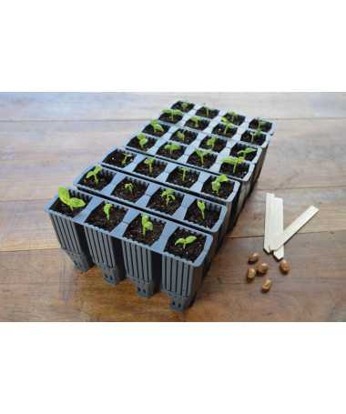 28 WKŁADÓW UKORZENIĄCYCH WIELOKROTNEGO UŻYTKU (BEZ SZKLARENKI), 21x5xh12cm, GARLAND DEEP ROOT SUCCES KIT - 3 - Klonowanie, kiełk 28 WKŁADÓW UKORZENIĄCYCH WIELOKROTNEGO UŻYTKU (BEZ SZKLARENKI), 21x5xh12cm, GARLAND DEEP ROOT SUCCES KIT - 3 - Klonowanie, kiełk