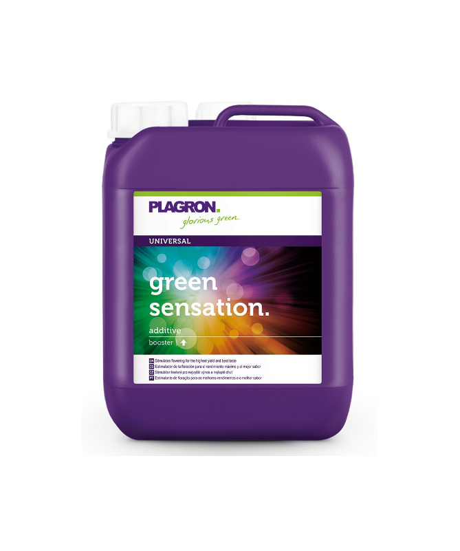 PLAGRON GREEN SENSATION 5L - 1 - Plagron Green Sensation&nbsp;to złożony kompleks stymulator kwitnienia, składających się z organiczn