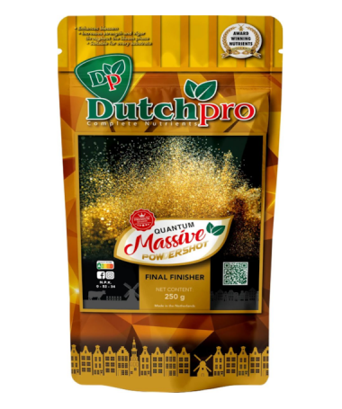 DUTCHPRO QUANTUM MASSIVE...