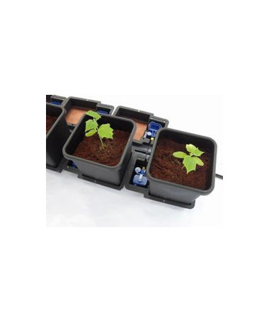 Autopot Zestaw 1Pot 12x doniczka 8,5L + zbiornik Flexi Tank 225L - 3 - System AutoPot jest uniwersalnym systemem nawadniającym n