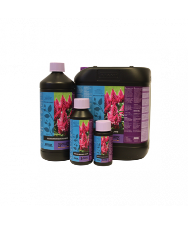 BLOSSOM BUILDER ATAMI B`CUZZ 50ML NAWÓZ KOŃCOWY ZWIĘKSZAJĄCY MASĘ - 2 - Nawóz końcowy **B`Cuzz Blossom Builder Atami** - _50ml_ 