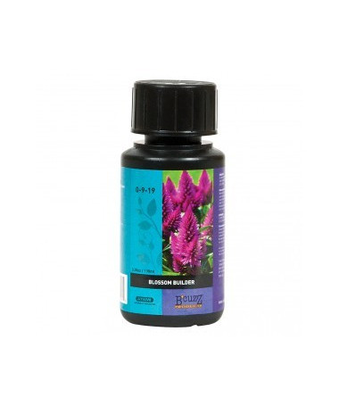 BLOSSOM BUILDER ATAMI B`CUZZ 100ML NAWÓZ KOŃCOWY ZWIĘKSZAJĄCY MASĘ - 1 - Nawóz końcowy **Blossom Builder Atami B`Cuzz** (100ml) 