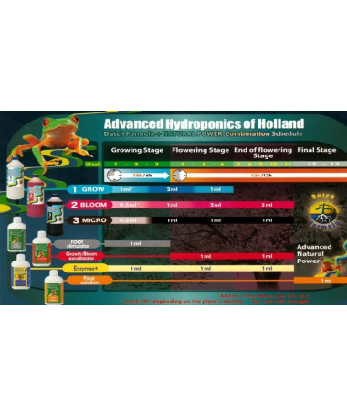 DUTCH FORMULA 1 GROW 500ML NAWÓZ NA WZROST - ADVANCED HYDROPONICS OF HOLLAND - 2 - Poznaj nawóz **DUTCH FORMULA 1 GROW 0,5L** od