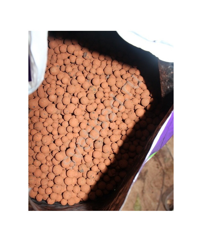 PLAGRON GRANULAT CERAMICZNY 8/16 1L EURO PEBBLES - 1 - Euro Pebbles jest obojętnym hydroponicznym podłożem wysokiej jakości. Jak