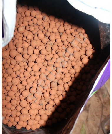 PLAGRON GRANULAT CERAMICZNY 8/16 10L EURO PEBBLES - 3 - Euro Pebbles To wyjątkowe, hydroponiczne podłoże o wysokim standardzie. 
