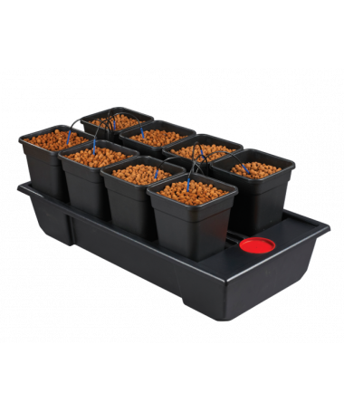 Wilma Smal Wide 8, Kompletny System Hydroponiczny, 8 donic 11l, 120x60xh20cm / 80l - 1 - Systemy uprawy Wilma w sposób profesjon