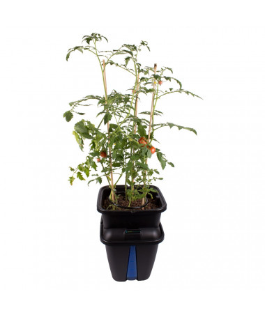 PLANT!T GEMINI SYSTEM HYDROPONICZNY 1 ROŚLINA - 2 - Uprawa roślin w systemie Gemini od Plantt nowoczesne rozwiązanie dla Twojeg PLANT!T GEMINI SYSTEM HYDROPONICZNY 1 ROŚLINA - 2 - Uprawa roślin w systemie Gemini od Plantt nowoczesne rozwiązanie dla Twojeg