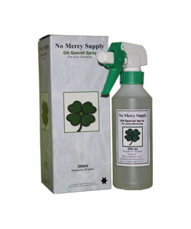 No Mercy Gibberelic Acid Spray 250ml kwas giberalinowy - 1 - Hormon roślinny i jego znaczące oddziaływanie na wzrost i rozwój ro