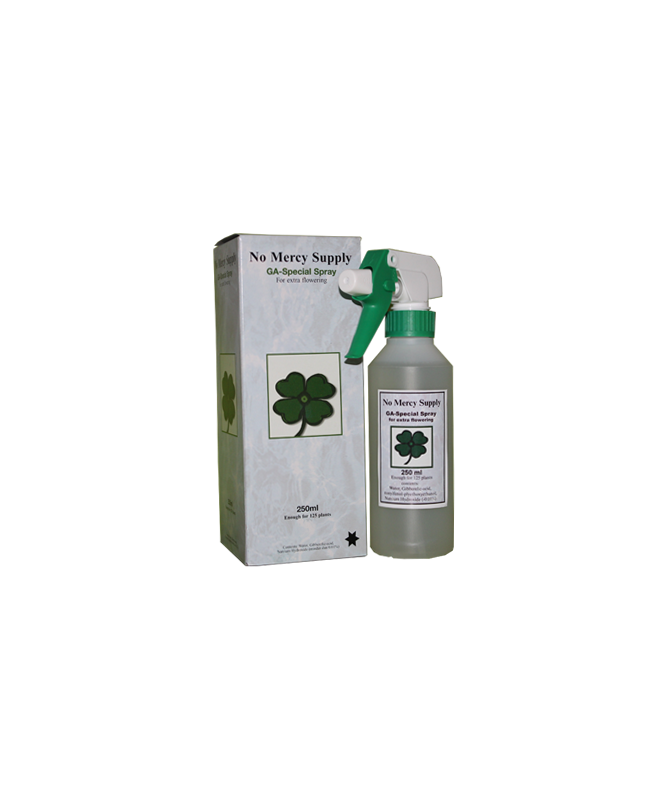 No Mercy Gibberelic Acid Spray 250ml kwas giberalinowy - 1 - Hormon roślinny i jego znaczące oddziaływanie na wzrost i rozwój ro No Mercy Gibberelic Acid Spray 250ml kwas giberalinowy - 1 - Hormon roślinny i jego znaczące oddziaływanie na wzrost i rozwój ro