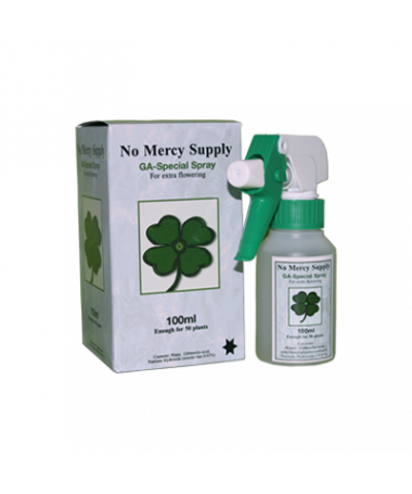 No Mercy Gibberelic Acid Spray 100ml kwas giberalinowy - 1 - Hormon roślinny wykazuje aktywność biologiczną, która jest niezwykl