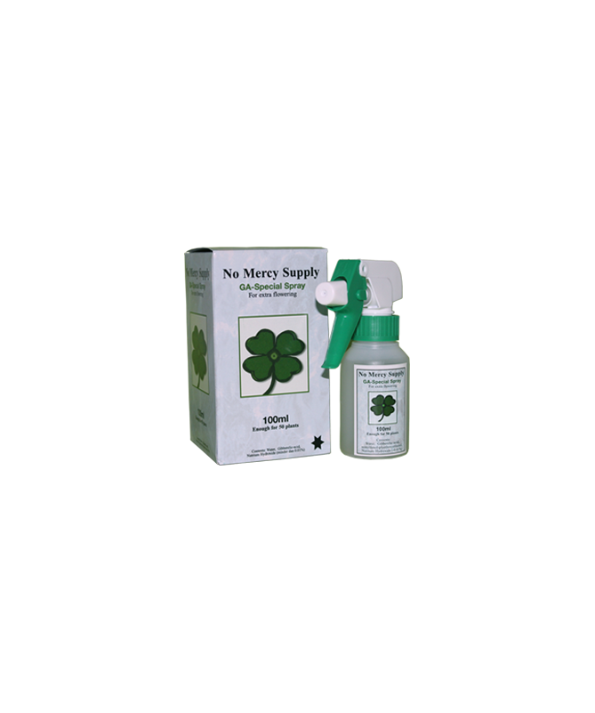 No Mercy Gibberelic Acid Spray 100ml kwas giberalinowy - 1 - Hormon roślinny wykazuje aktywność biologiczną, która jest niezwykl