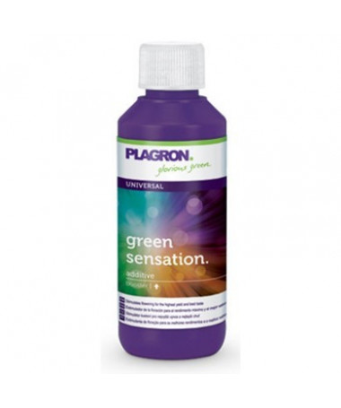 PLAGRON GREEN SENSATION 100ML - 1 - Plagron Green Sensation to złożony kompleks stymulator kwitnienia, składających się z organi