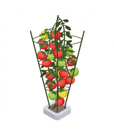PLANT SUPPORT 60CM - 2 - Jak skutecznie zastosować pręty podtrzymujące dla roślinAby prawidłowo zastosować pręty podtrzymujące, 