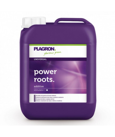 PLAGRON POWER ROOTS 500ML - 2 - Stymuluje rozwój korzeni i zwiększa odpornośćPower Roots to biologiczny stymulator ukorzeniania.