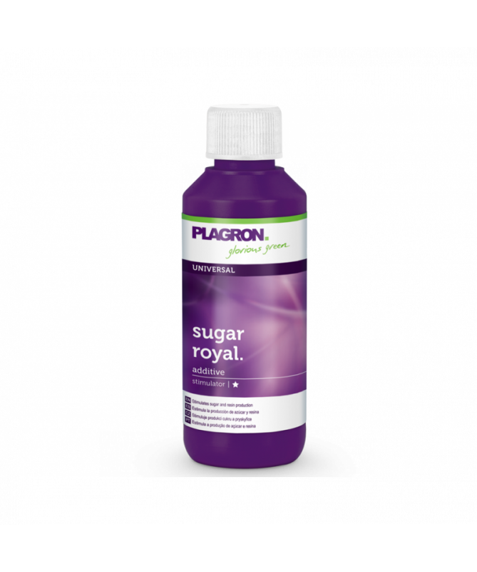 PLAGRON SUGAR ROYAL 100ML - 1 - Sugar Royal to silny biologiczny stymulator kwitnienia. Stymuluje on produkcje chlorofilu zwięks