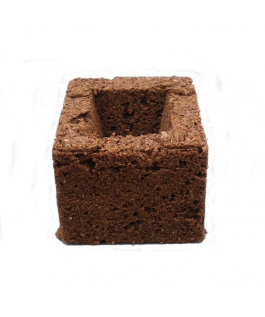 EAZY PLUG BLOCK 75*75*H60 - 1 - Eazy Plug Twój klucz do zdrowych korzeni. Zaufaj Eazy Plug , którzy oferują doskonałe rozwiąza