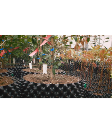 DONICZKA AIR-POTS 6L SUPER ROOT - 6 - Air-Pots posiadają niezwykłe, profilowane ściany, rodzaj konfiguracji wytłaczanki do jajek