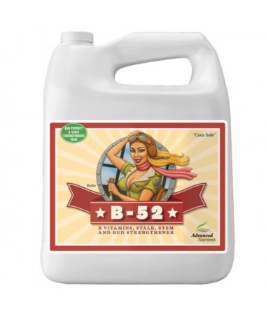 Advanced Nutrients B-52 5l Stymulator systemu korzeniowego - 1 - Ta nieśmiertelna mieszanka zawiera witaminę B1, kwas humusowy, 