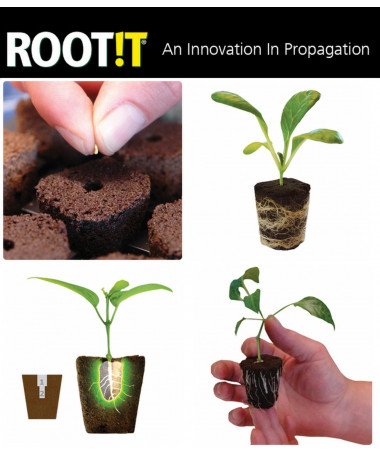 GROWTH TECHNOLOGY ROOT RIOT 24 TACA DO SADZONEK - 2 - Rozmiar 35 x 21 x 12 cm idealnie zaprojektowany dla wygody, jest w stanie