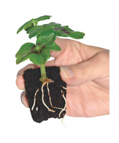 GROWTH TECHNOLOGY ROOT RIOT 24 TACA DO SADZONEK - 3 - Rozmiar 35 x 21 x 12 cm idealnie zaprojektowany dla wygody, jest w stanie