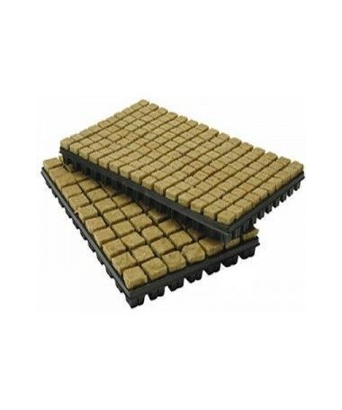GRODAN TACA WEŁNA 150 SZT, 25*25*40MM - 1 - cenione na świecie podłoże do upraw świetne kostki do kiełkowania i ukorzeniania&nbsp; 