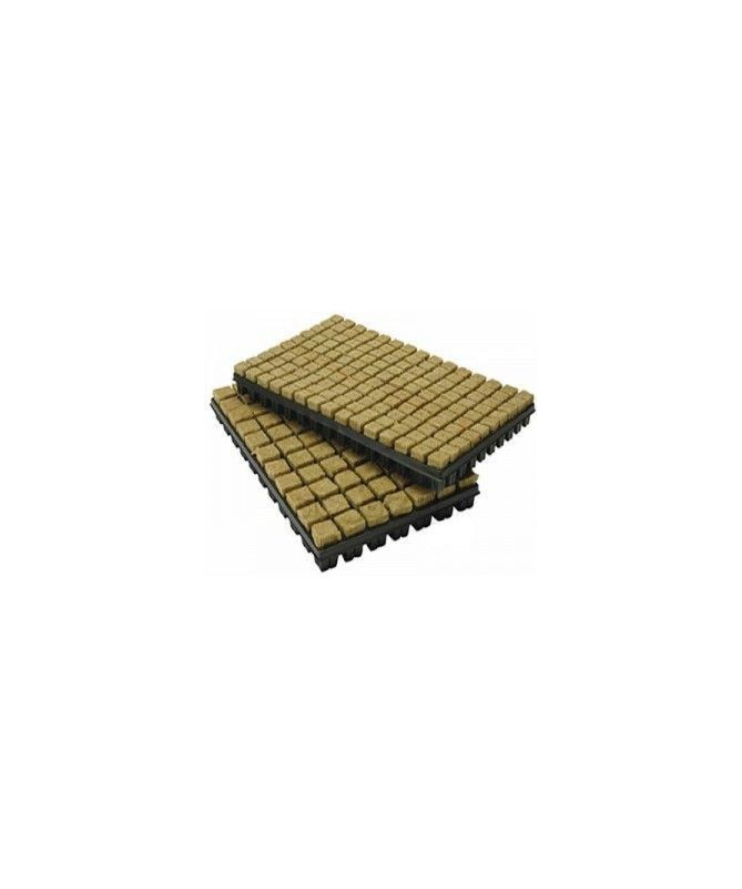 GRODAN TACA WEŁNA 150 SZT, 25*25*40MM - 1 - cenione na świecie podłoże do upraw świetne kostki do kiełkowania i ukorzeniania&nbsp; 