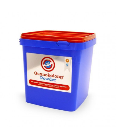 Guanokalong Powder 10kg - nawóz organiczny w proszku - 1 - Nietoperze żerują w dżungli, żywiąc się robactwem i dojrzałymi owocam