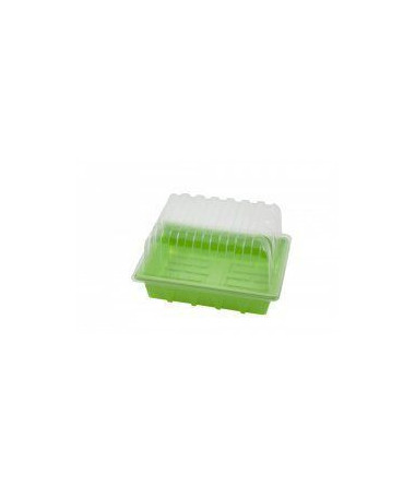 EAZY PLUG PROPAGATOR 23,5*18*H14 - 1 - Doskonały mały pojemnik do rozmnażania roślin. &nbsp;Wodoodporny i łatwy w czyszczeniu. Przezr