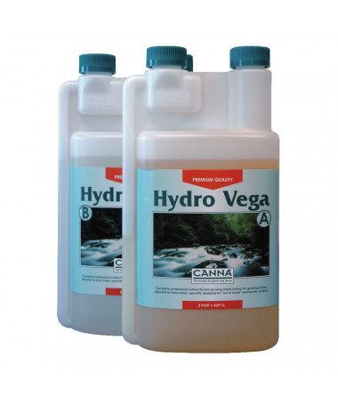 CANNA HYDRO VEGA A/B 2*10L - 2 - Charakterystyka zdrowego i silnego wzrostu jest kluczowa dla pędów i bujnego rozwoju korzenia. 