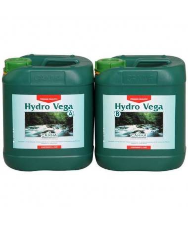 CANNA HYDRO VEGA A/B 2*10L - 1 - Charakterystyka zdrowego i silnego wzrostu jest kluczowa dla pędów i bujnego rozwoju korzenia. 