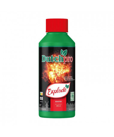DUTCHPRO EXPLODE 250ML - 1 - Explode to znakomity stymulator kwitnienia, który wzbogaci twoje rośliny w niezbędne minerały, skła