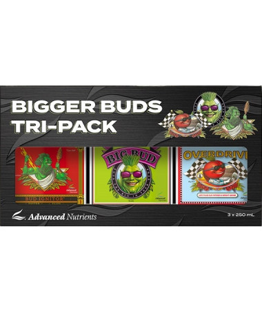 ADVANCED NUTRIENTS ZESTAW BIGGER BUDS TRIPACK 3x250 - 1 - 