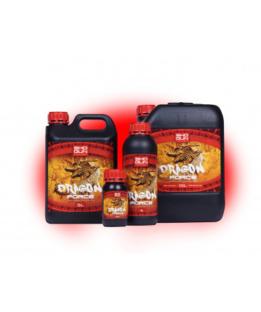 SHOGUN DRAGON FORCE 1L - 1 - 