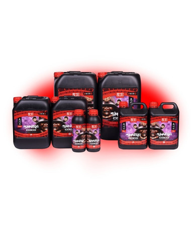 SHOGUN SAMURAI COCO A/B 2*5L - 1 - 