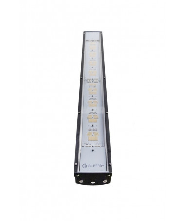 BILBERRY LED 340W - 1 - 