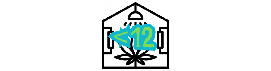 Zestawy uprawowe do 12 roślin | Centrum Growbox